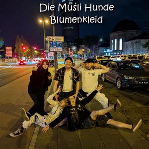 Blumenkleid (Unplugged)