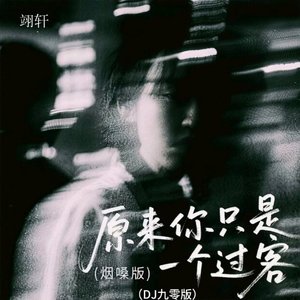 原来你只是一个过客(DJ 九零版)
