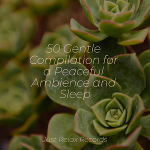 Slumbrous Lull of Grief