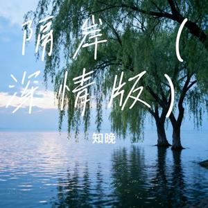 隔岸