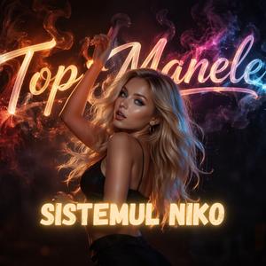 Sistemul Niko