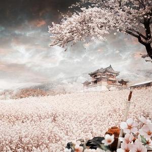 枕边人《三生三世枕上书》