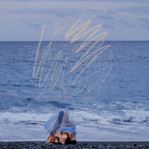 夏の魚は長い夢を見る