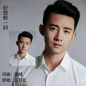 好想醉一回（DJ版）