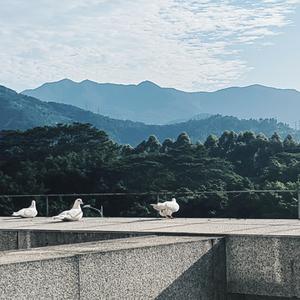 一个人想着一个人（翻自 张简君伟）