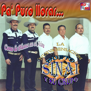 Buscando un Consuelo