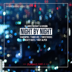 Night By Night (Sharapov Remix)