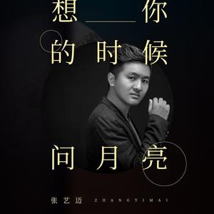 想你的时候问月亮