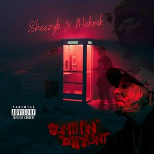 SumTh1n' Diffr3nt (feat. Meknik)