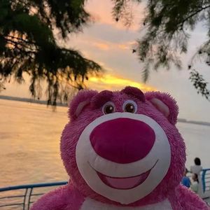 来年春天时 自会相见