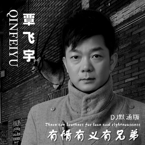 有情有义有兄弟 (DJ默涵版)
