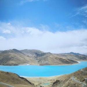 新年吉祥如意来
