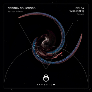 Xylocopa Violacea (Original Mix)