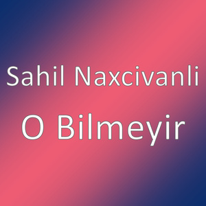 O Bilmeyir