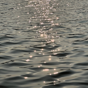 영원할 것 같아