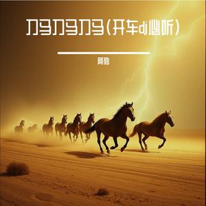 刀马刀马刀马(开车dj必听)