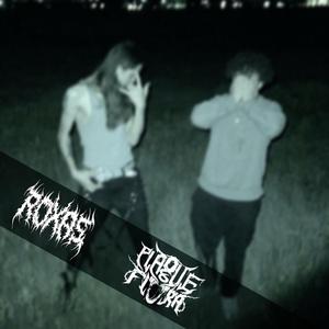 ECSTASY (Johnnie Gilbert & Jake Webber) (feat. Plague Flora) (Remix)