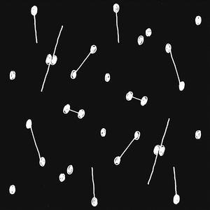 Dance of a Trillion Stars