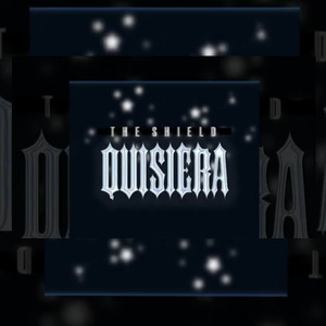 Quisiera