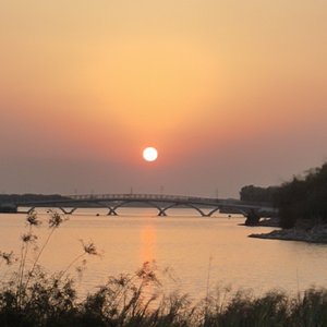 念（prod by Lion_Z狮子）