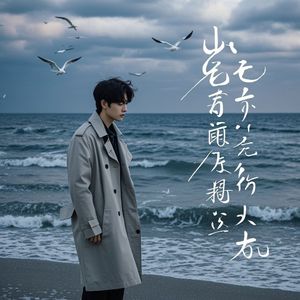 万水千山难了的情-申加秀