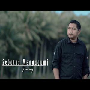 Sebatas Mengagumi