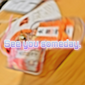 See you someday