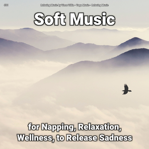 Soft Music, Pt. 41