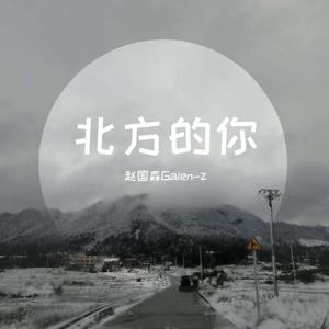 我想你不会爱我