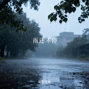 雨还不停