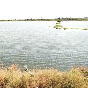 Jeevanulla Dhevane Vaarum