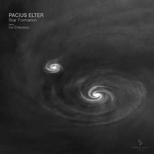 Quadrantids (Original Mix)