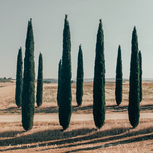 andata (Hayes Liu Cover)