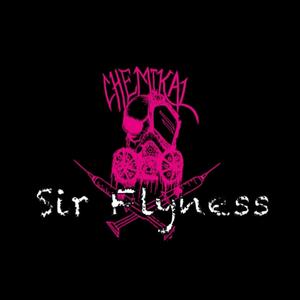Sir Flyness