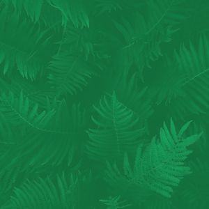 柔和的安静的星期日时刻