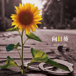 向日葵