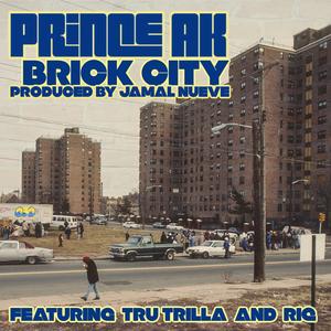 Brick City (feat. Tru Trilla & RIQ)