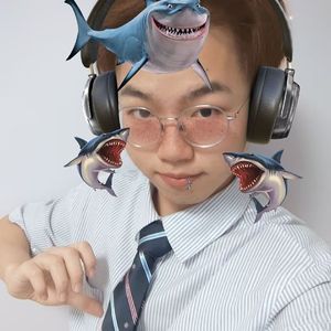 陕西的姑娘纯音乐