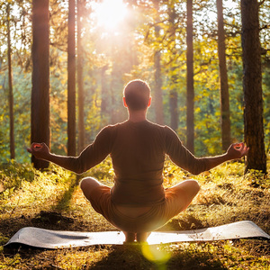 Viaje De Pose Pacífica