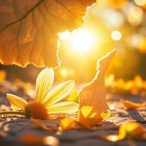 靠山山会倒啊靠人人会跑 (沧桑版)