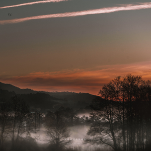 나의 저녁으로 와요