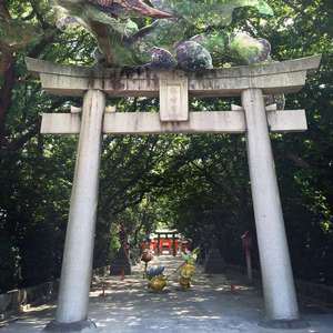 Jasmine Flower（Original Mix）