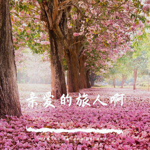 亲爱的旅人啊（翻自周深）