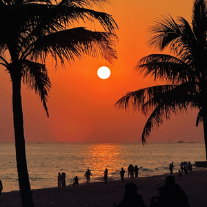 不是因为寂寞才想你(ukulele弹唱版)