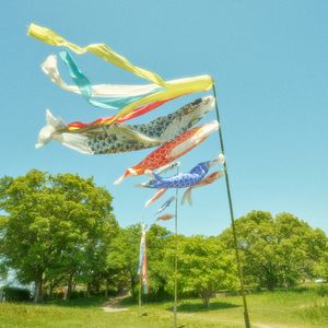 旅途中的灵动琴音活力节拍