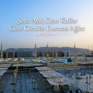 Müştakım Sana