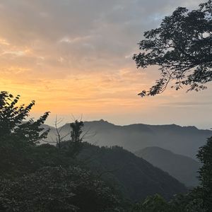 NO pains,no gains(Prod.Roman)