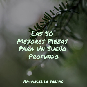 Celebración de la Sinfonía Estelar