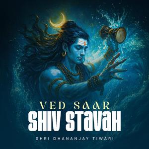 Vedsaar Shiv Stavah