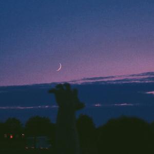 月亮不会奔你而来